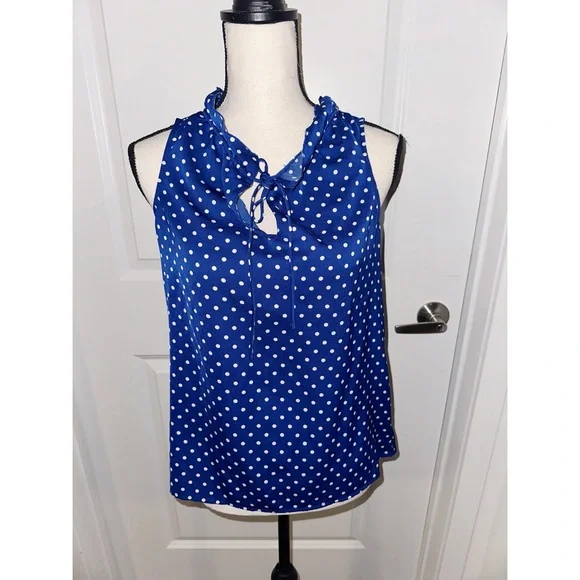 J. Crew Blue and White Tie Front Ruffled Blouse - Picture 6 of 7